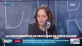 Dupin Quotidien : La consommation de pesticides en forte hausse - 10/01