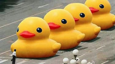 Gros Canard Jaune Gloires Et Miseres De La Censure Chinoise