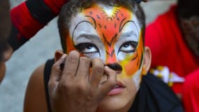 Carnaval en Colombie, le 10 février 2013.
