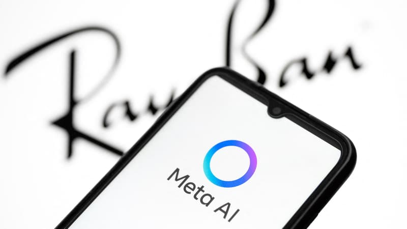 Emploi, revenus, famille... Cet américain de 52 ans a commencé à discuter avec l'assistant IA de Meta et a tout perdu