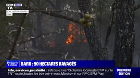 Dans le Gard, un incendie a ravagé 50 hectares 