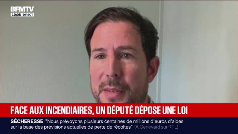 Pyromanes: "Il ne faut pas être dans la culture de l'excuse", affirme le député UDR Matthieu Bloch
