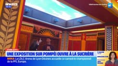 Lyon City: une exposition sur Pompéi ouvre à la Sucrière