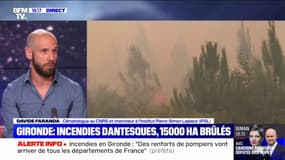 Canicule, feu de forêt...: "Ces problèmes sont encore, en grande partie, réversibles", rassure le climatologue Davide Faranda 