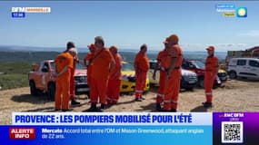 Provence: les pompiers mobilisés pour lutter contre les incendies cet été 