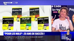 La collection des livres jaunes "Les Nuls" fête ses 20 ans