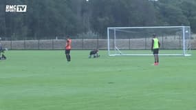 RC Lens - Alain Casanova suspendu faute de résultats