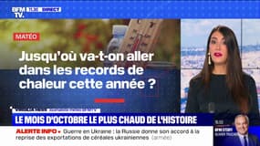 Jusqu'où va-t-on aller dans les records de chaleur cette année? BFMTV répond à vos questions