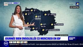 Météo Paris-Ile de France du 21 avril : Une douceur printanière