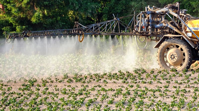 Un rapport parlementaire veut faire la lumière sur les marges des fabricants de pesticides