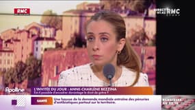Bezzina : "Le droit de grève est garanti dans les limites données par la loi"