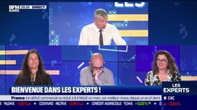 Les Experts : Bercy déclare la guerre à la fraude fiscale dans un plan très politique - 09/05