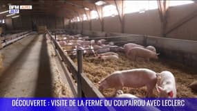 Découverte : Visite de la ferme des Coupaïrou avec Leclerc Gap