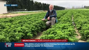 "Personne n'est venu!": le désarroi de ces agriculteurs qui ne trouvent pas de main d'oeuvre en France