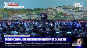 Jean-Luc Mélenchon: "La crise sanitaire n'a pas d'autre origine que la déforestation massive"