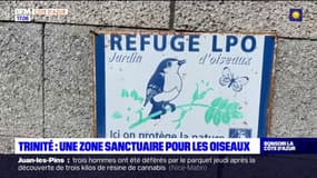 La Trinité: une zone sanctuaire pour les oiseaux