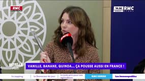 Vanille, banane, quinoa... ça pousse en France !