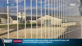 Entassement des animaux, problèmes de pollution, les fermes usines inquiètent