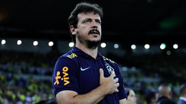 Fernando Diniz, sélectionneur du Brésil par intérim, le 23 novembre 2023