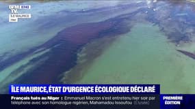 Île Maurice: face à la menace de marée noire, des habitants se mobilisent pour protéger la côte