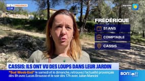 Cassis : ils ont vu des loups dans leur jardin