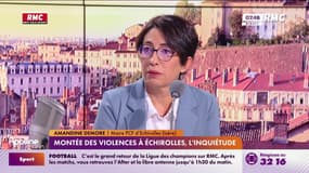 Echirolles - Violences : "On demande le retour de la police de proximité"
