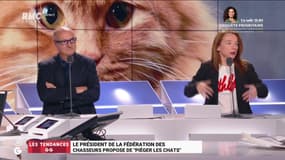 Les tendances GG : Le président de la Fédération des chasseurs propose de "piéger les chats" - 15/05