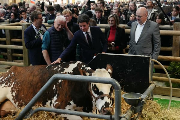 Le Premier ministre français Gabriel Attal (C) caresse la vache normande "Oreillette" lors de sa visite au Salon international de l'agriculture à Paris, le 27 février 2024.