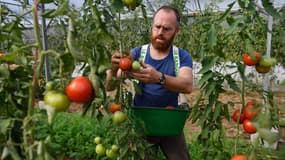 Parmi les mesures, l'Assemblée nationale a approuvé la mise en place d'une aide d'urgence de 271 millions d'euros pour soutenir l'agriculture bio