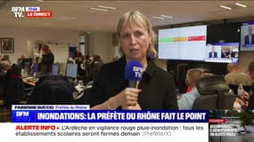 "On est prêt à venir en aide": la préfète du Rhône fait le point sur la situation dans le département 