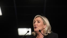 Marine Le Pen lors d'un meeting à Lyon le 1er mars 2014.