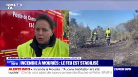 Incendie à Mouriès: le feu est stabilisé 
