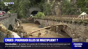 Crues, inondations... Pourquoi elles se multiplient et comment l'expliquer ?