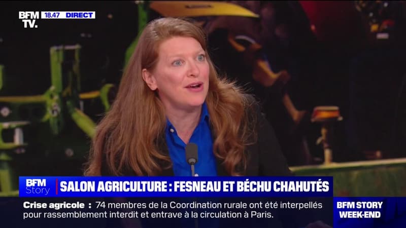 Colère des agriculteurs à Paris: 