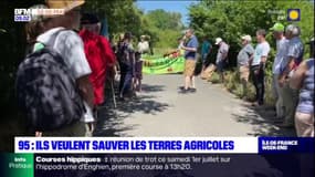 Val-d'Oise: une manifestation pour sauver des terres agricoles à Taverny