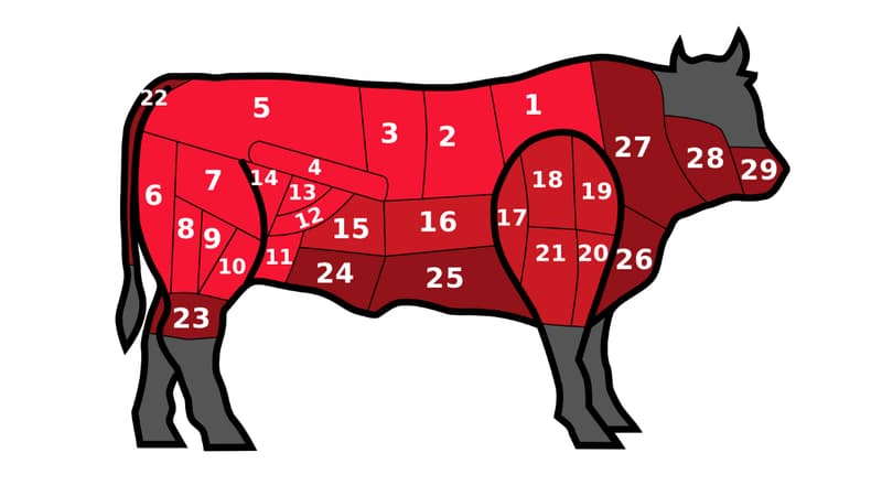 Représentation des morceaux de boeuf selon la découpe traditionnelle en France. (Photo d'illustration)