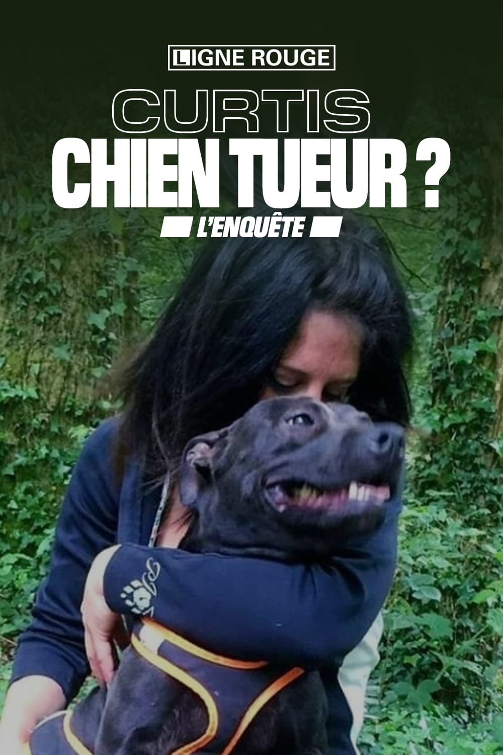 L'enquête: Curtis, chien tueur ? 