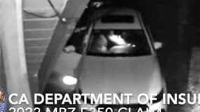 Un homme déguisé en ours dégrade une Rolls Royce, novembre 2024