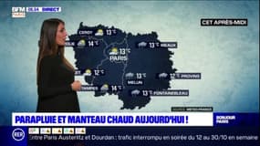 Météo en Île-de-France: des nuages et de la pluie, entre 12°C et 14°C cet après-midi