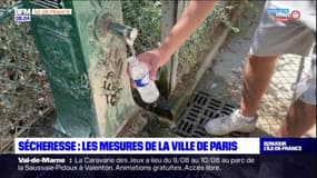 Les mesures de la Ville de Paris pour lutter contre la sécheresse