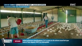 "C’est vraiment ce qu’on vit dans nos campagnes": le film Au nom de la terre, miroir du monde rural et succès cinématographique