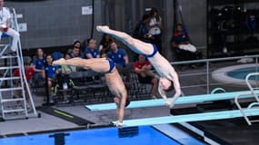 Tom DALEY and Noah WILLIAMS
