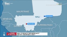 Le monde de Macron : 47 soldats tués depuis 2013 au Mali, que fait-on encore là-bas ? - 29/12