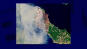 Les dégâts provoqués par les incendies sur l'île d'Eubée vus de l'espace.