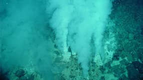Les monts hydrothermaux, comme le Loki's Castle, sont l'habitat naturel d'organismes rares. Ici, le mont de Champagne.