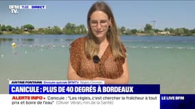 Canicule : jusqu'à 42 degrés à l'ombre (3) - 07/08