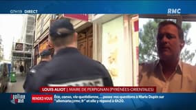 Journaliste infiltré dans la police: "Il peut y avoir des brebis galeuses dans la police, mais les seules menaces que je vois viennent des voyous dans le rue à l'égard des honnêtes gens" dénonce Louis Alliot