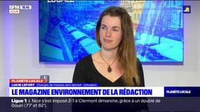 Planète locale Nice: l'émission du 22/11/21, avec Lucie Lefort, chargée de mission zéro déchet chez Univalom