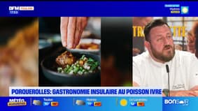 Dans votre assiette du jeudi 10 avril - Porquerolles : gastronomie insulaire au poisson ivre