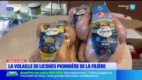 Côte à Côte - Licques